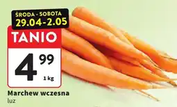 Intermarche Marchew wczesna luz oferta