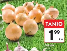 Intermarche Cebula luz oferta