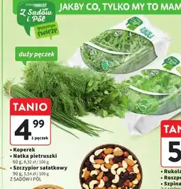 Intermarche Rukola Z Sadów i Pól oferta