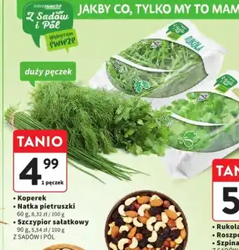 Intermarche Rukola Z Sadów i Pól oferta