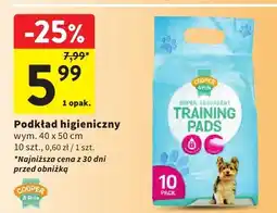 Intermarche Podkład higieniczny Cooper & Pals 40x50cm oferta
