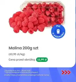 Dino Malina oferta
