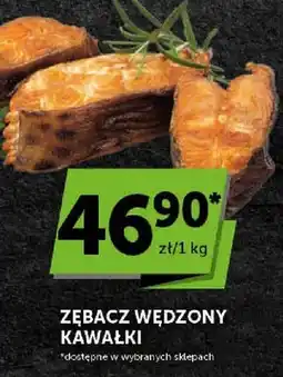 ABC Zębacz wędzony kawałki oferta