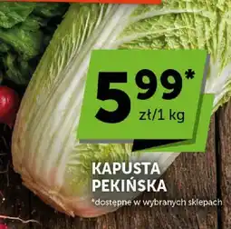 ABC Kapusta pekińska oferta