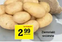 Gram Market Ziemniaki oferta