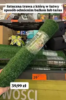 Biedronka Sztuczna trawa Gardenic 100x200cm oferta