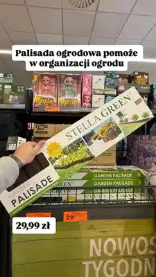 Biedronka Palisada ogrodowa oferta