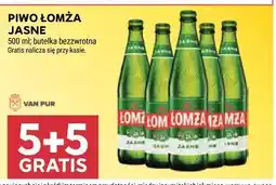 Stokrotka Piwo Łomża Jasne oferta