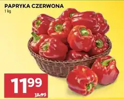 Stokrotka PAPRYKA CZERWONA oferta