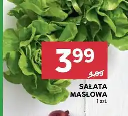 Stokrotka SAŁATA MASŁOWA 1 szt oferta