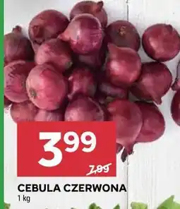 Stokrotka CEBULA CZERWONA oferta