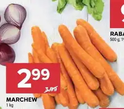 Stokrotka MARCHEW oferta