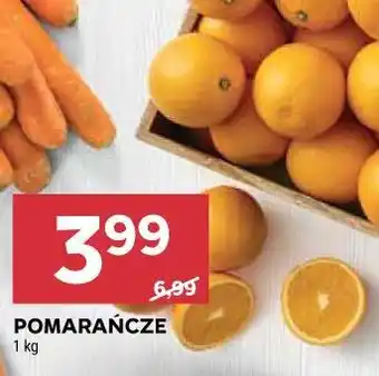 Stokrotka POMARAŃCZE oferta