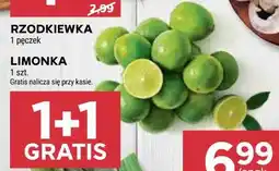 Stokrotka LIMONKA 1 szt oferta