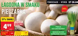 Biedronka Pieczarka, opak oferta