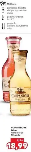 Kaufland COMPANIONE Wino oferta