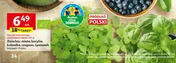 Auchan Zioła bio: mięta, bazylia, kolendra, oregano, tymianek oferta