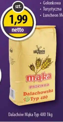 DUO-TES Dalachów Mąka Typ 480 oferta