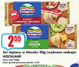 Sezamek Ser topiony w bloczku hochland oferta