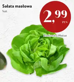 Market Point Sałata masłowa oferta