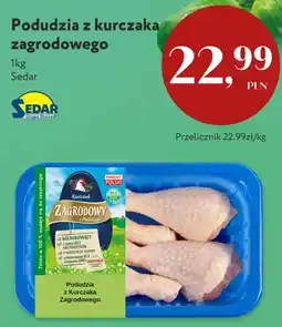 Market Point Podudzia z kurczaka zagrodowego Sedar oferta