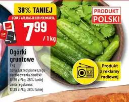 Polomarket Ogórki gruntowe oferta