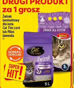 Polomarket Zwirek Cat The Lord / Miluś oferta