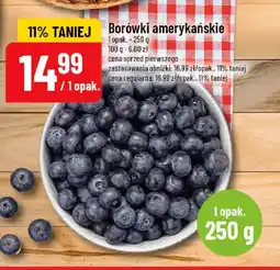 Polomarket Borówki amerykańskie oferta