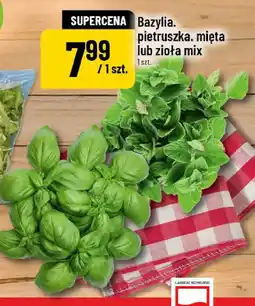 Polomarket Bazylia, pietruszka, mięta oferta