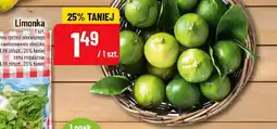 Polomarket Limonka oferta