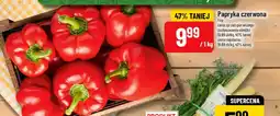 Polomarket Papryka czerwona oferta