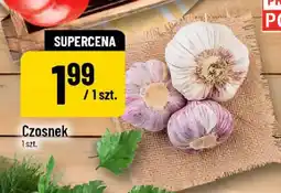 Polomarket Czosnek oferta