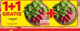 Polomarket Rzodkiewki oferta