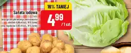Polomarket Sałata lodowa oferta