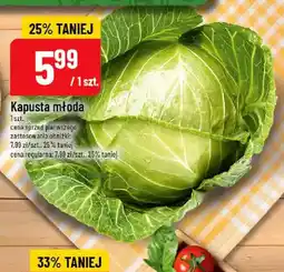 Polomarket Kapusta młoda oferta