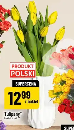 Polomarket Tulipany oferta