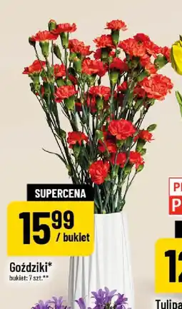 Polomarket Goździki oferta