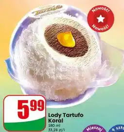 Dino Lody Tartufo Koral oferta