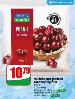 Dino Wiśnie bez pestek mrożone Mroźny Ogród oferta