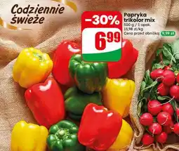 Dino Rzodkiewka oferta