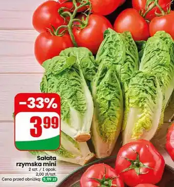 Dino Sałata rzymska mini oferta