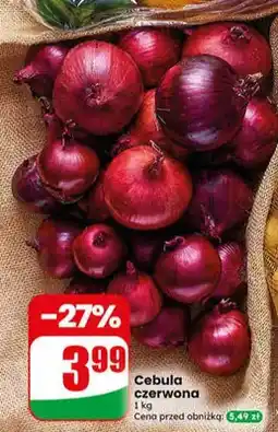 Dino Cebula czerwona oferta