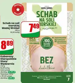 Dino Schab na soli morskiej Madej Wróbel oferta