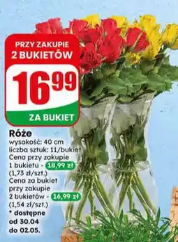 Dino Róże bukiet wysokość 40cm oferta