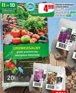 Dino Ziemia kwiatowa uniwersalna grunt próchniczy warzywno-kwiatowy oferta