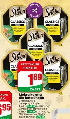 Dino Mokra karma dla kota Classics koktajl drobiowy z domową ptycą Sheba oferta