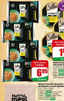 Dino Mokra karma dla kota drobiowe smaki Sheba oferta