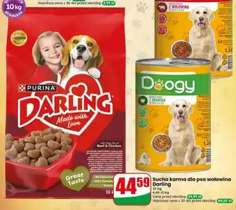 Dino Sucha karma dla psa wołowina Darling oferta