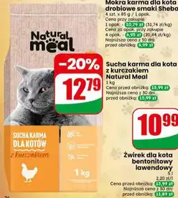 Dino Żwirek dla kota bentonitowy lawendowy Cleo oferta