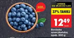 Biedronka Borówka amerykańska oferta